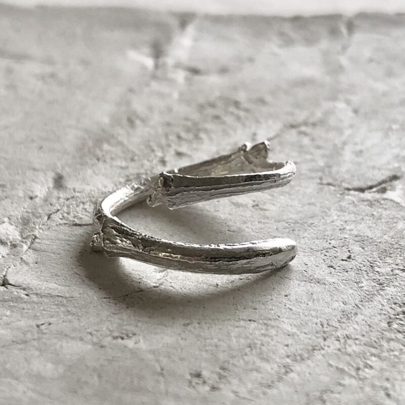 Anillo rama