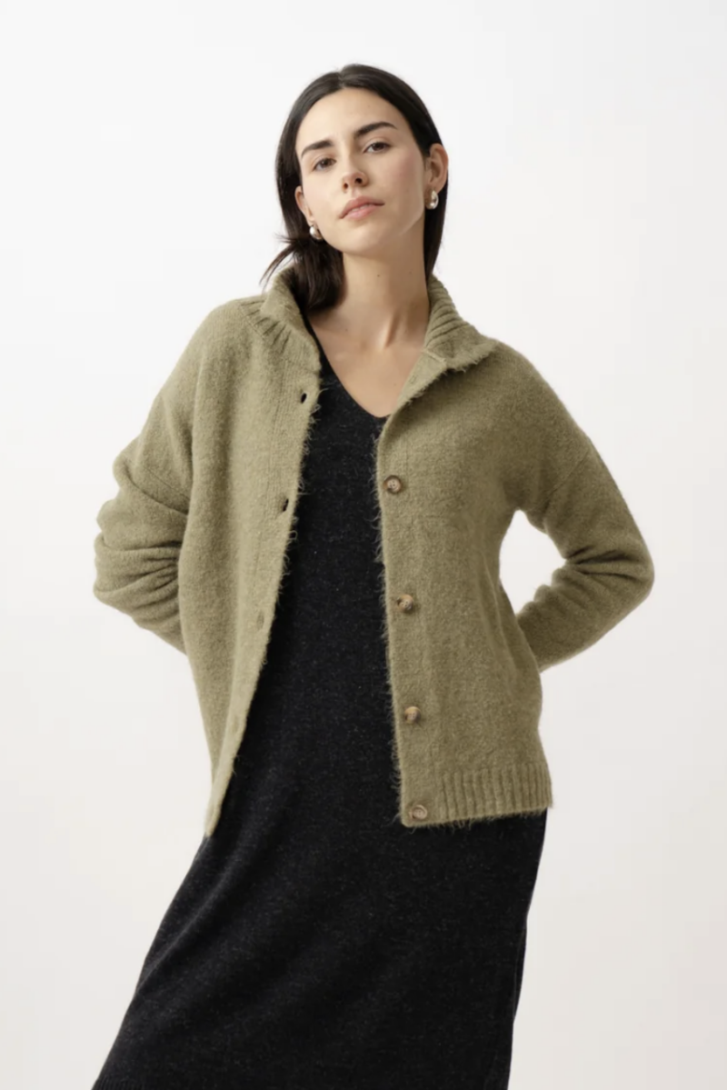 Cardigan still